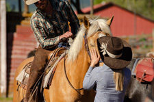 Canada-British Columbia-Cranbrook Beckley's Cattle and Guest Ranch